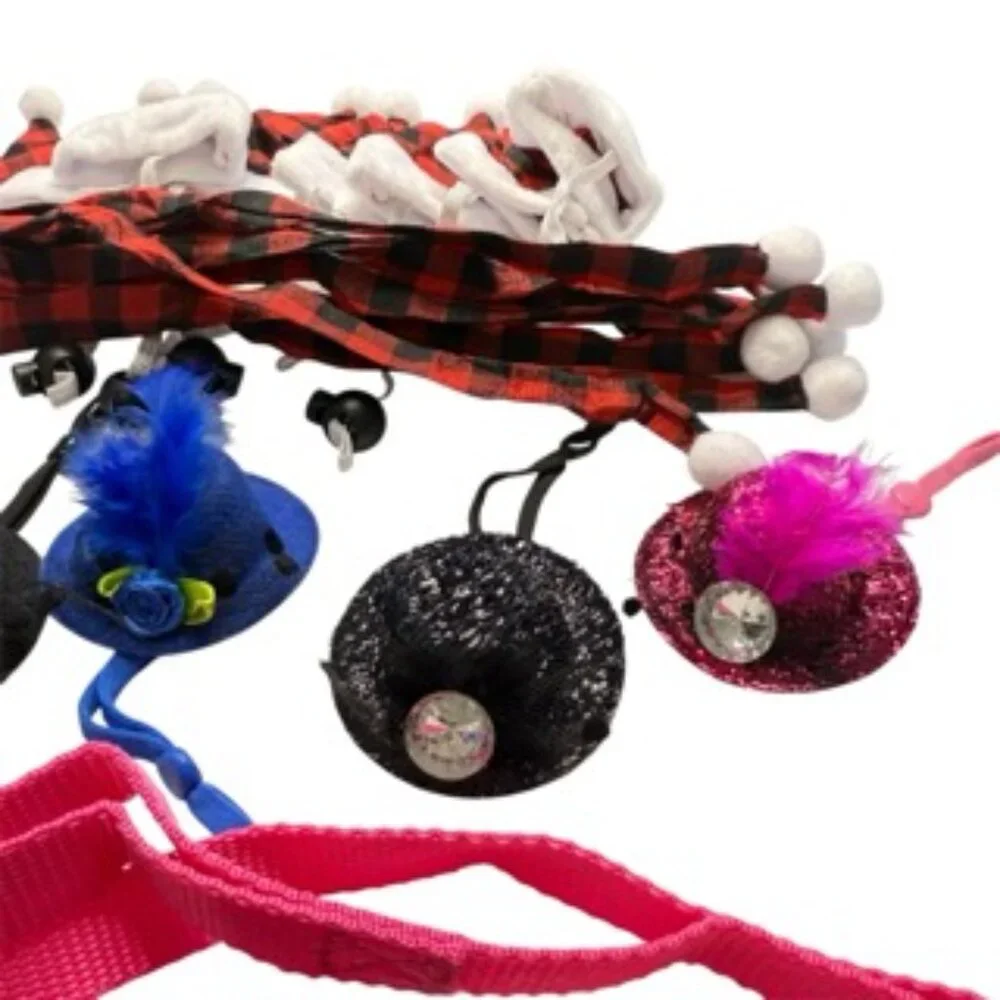 Chicken hats and accessories